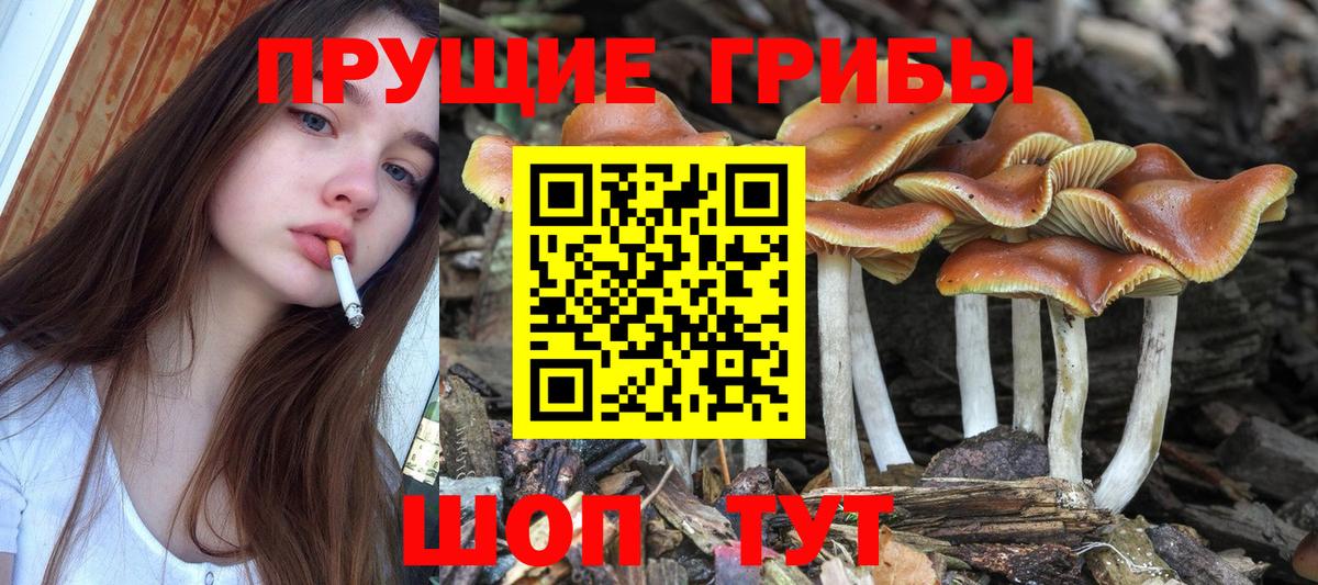Псилоцибиновые грибы MAGIC MUSHROOMS Орёл